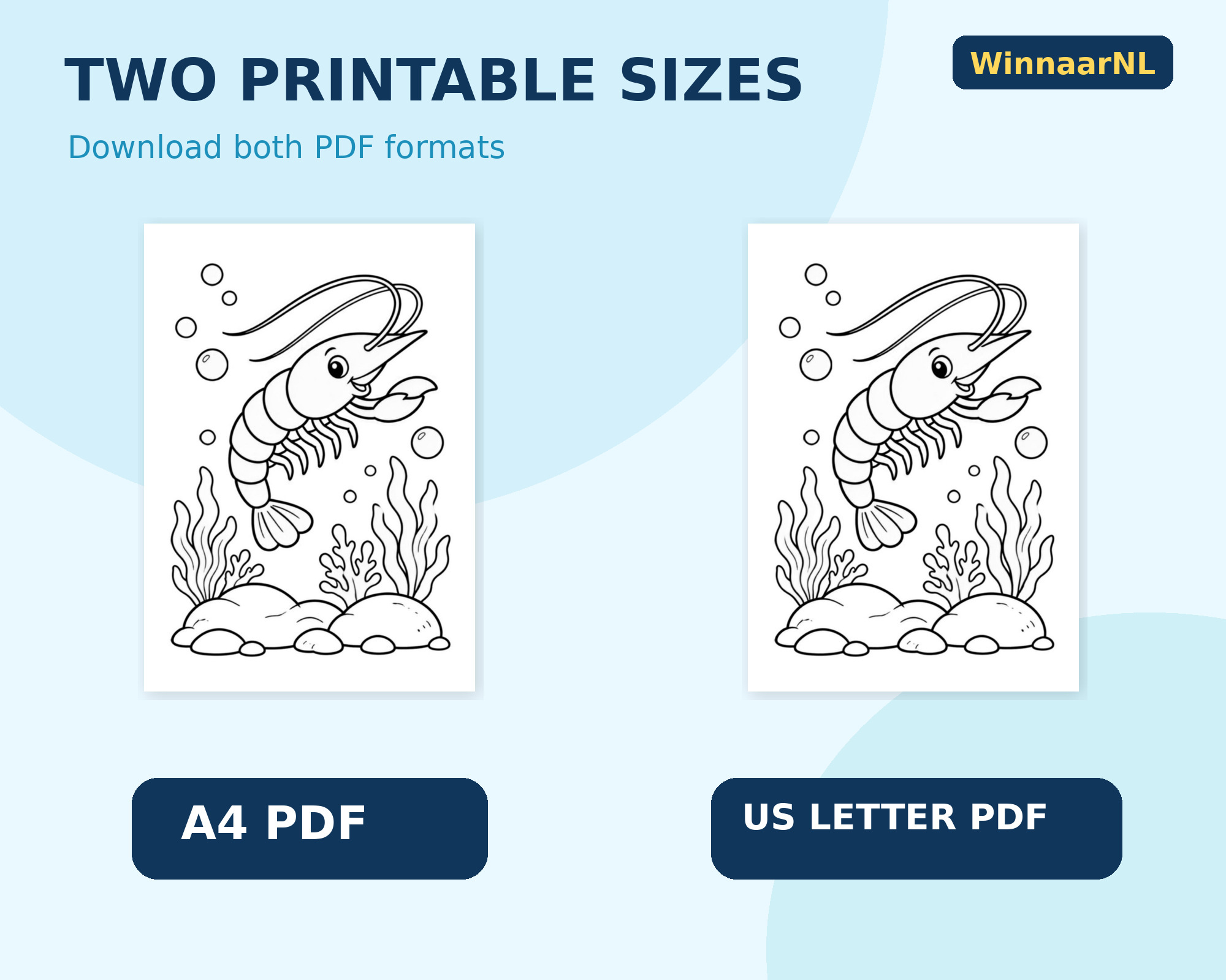 A4 and US Letter formats